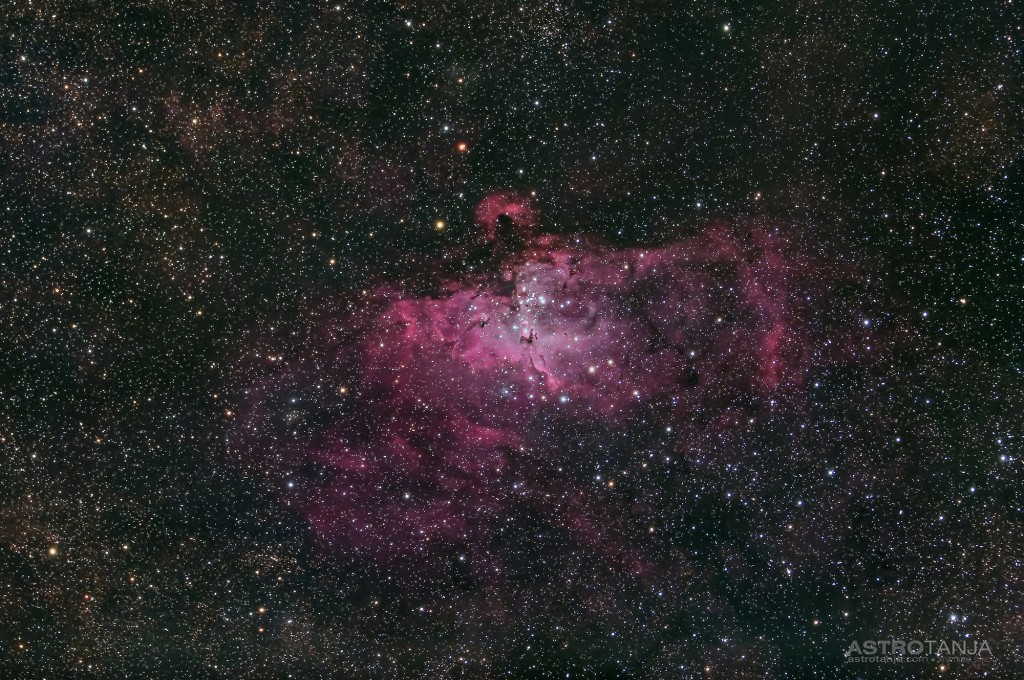 M16
